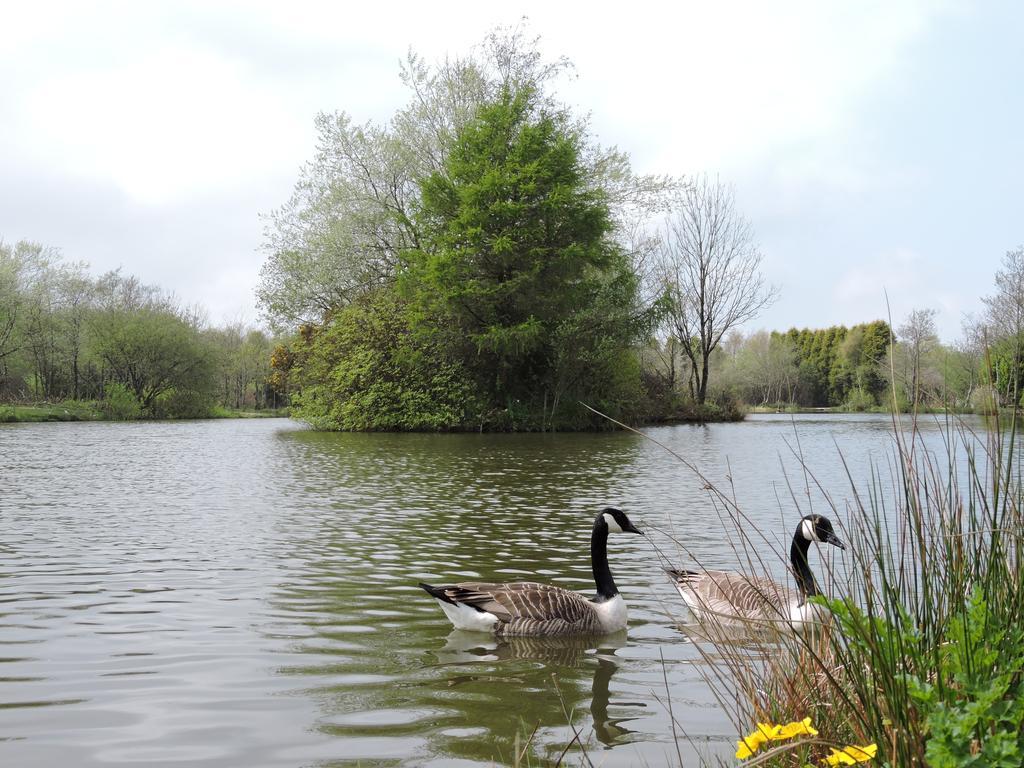 Bodmin Holiday Park Lanivet Eksteriør bilde